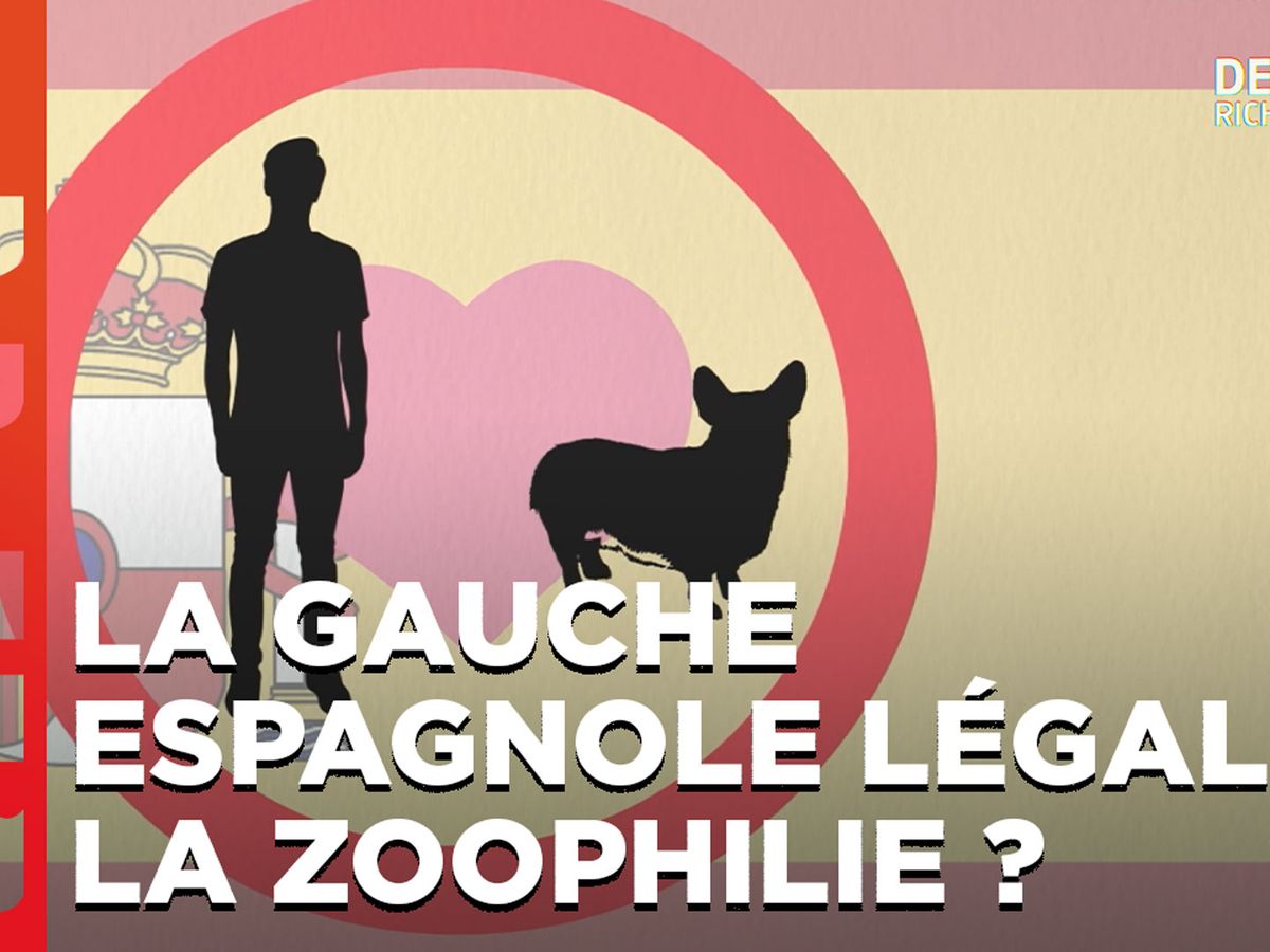 Désintox. Non, la gauche espagnole ne légalise pas la zoophilie.