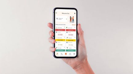 Ces applis qui ont changé nos vies: Live Pollen (FRANCEINFO)