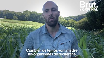 Une agriculture sans pesticides de synthèse, des vaches en pâturages, peu de labour… Pour cet agriculteur, un changement de pratiques agricoles s'impose. Voilà les techniques qu'il expérimente au Pays Basque.