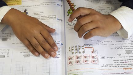 Un&nbsp;élève face à son manuel de mathématiques.&nbsp; (GODONG / BSIP / AFP)