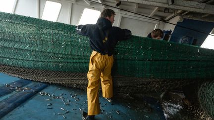 Trois pêcheurs travaillant au large de Sète (Hérault), sur un chalutier de fond, le 18 mars 2021. (MAXIME GRUSS / HANS LUCAS / AFP)