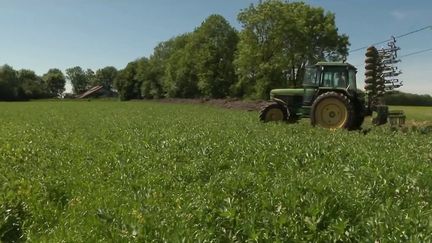 Agriculture : la nouvelle PAC, un coup dur pour les exploitants bio&nbsp; (France 2)