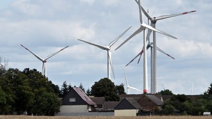 Des éoliennes du village allemand de Feldheim le 27 juillet 2022. (BERND SETTNIK / DPA)