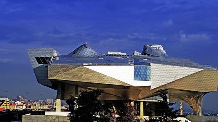 Le musée des Confluences de Lyon
 (Richard Mouillaud / PQR Le Progrès)