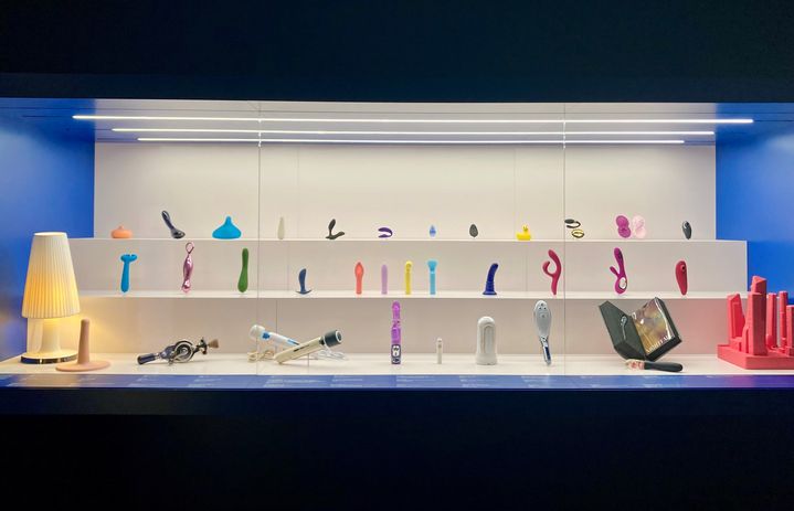 La vitrine présentant les sextoys au musée des Arts décoratifs en octobre 2024. (VALERIE GAGET / FRANCEINFO CULTURE)