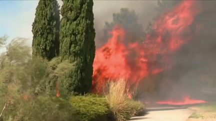 Bouches-du-Rhône : impressionnant incendie à Vitrolles, les pompiers restent vigilants