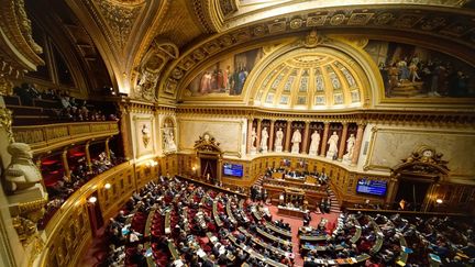 L'hémicycle du Sénat, à Paris, le 5 février 2020. (DANIEL PIER / NURPHOTO / AFP)