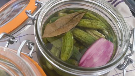 Des cornichons faits maison mis sous conserve. (AURÉLIE LAGAIN / RADIO FRANCE)