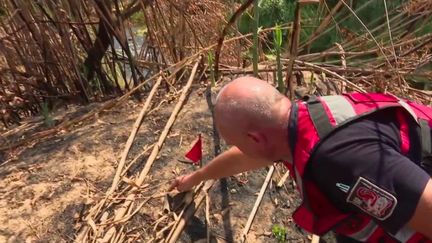 Incendies : le travail des enquêteurs sur l’origine des feux