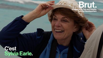 Elle a passé plus de 7000 heures sous les mers, mené près de 700 missions scientifiques à travers le monde et consacré sa vie à la défense des océans. Voici la vie de l'océanographe Sylvia Earle.