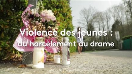 VIDEO. Violence des jeunes : du harcèlement au drame