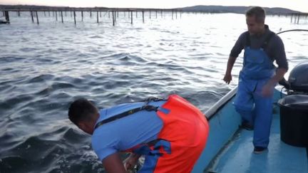 Hérault : le savoir-faire traditionnel des pêcheurs de l'étang de Thau