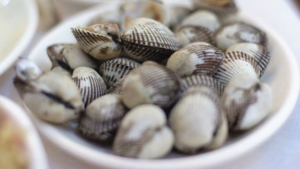 Gastro-entérite : vaste rappel de coquillages de l’Ouest de la France (Cr&eacute;dits Photo : &copy; soscs / Pixabay)