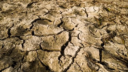 Le lit du fleuve Agly, à Rivesaltes (Pyrénées-Orientales), le 9 novembre 2022. (NICOLAS PARENT / MAXPPP)