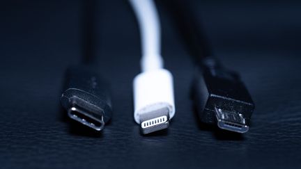 Trois chargeurs de téléphones utilisant, de gauche à droite, la norme USB-C, Apple Lightning et micro-USB. (MOHSSEN ASSANIMOGHADDAM / DPA / AFP)