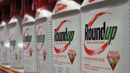 Des bidons de Roundup, un pesticide développé par Monsanto, qui appartient à l'Allemand Bayer, en vente dans un magasin de Glendale, en Californie, le 19 juin 2020.&nbsp; (ROBYN BECK / AFP)