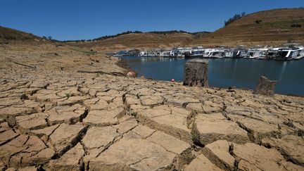 En Californie, les habitants traquent ceux qui gaspillent l'eau