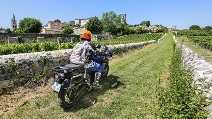 De la route et des chemins empruntés par les tracteurs au milieu des vignes. (PATRICK BOISVERT pour FRANCE INFO)