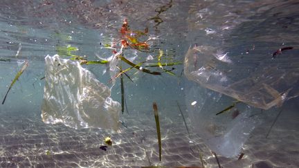 Des déchets plastiques dans la mer à Marseille, en mai 2019. (BORIS HORVAT / AFP)