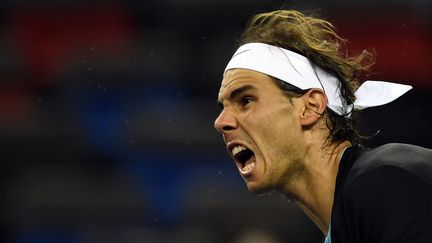 La rage de vaincre de Rafael Nadal  (JOHANNES EISELE / AFP)