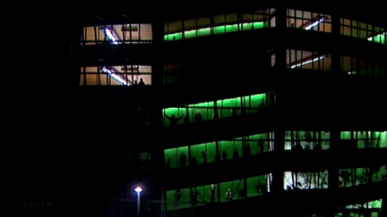 La nuit de la bibliothèque universitaire va s&#039;animer et s&#039;illuminer de drôles de silhouettes
 (France3/Culturebox)