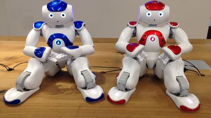 Nao le robot qui donne confiance en eux aux enfants autistes. L'Angle &eacute;co, juin 2015. ( FRANCE 2 / FRANCE TV INFO )