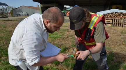 Les g&eacute;ologues de Variscan, J&eacute;r&ocirc;me Gouin (&agrave; gauche) et Maxime Picault (&agrave; droite), examinent un pr&eacute;l&egrave;vement de sol,&nbsp;le 15 avril 2015 &agrave; Montrevault (Maine-et-Loire). (THOMAS BAIETTO / FRANCETV INFO)