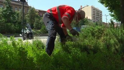 Chaleur : des températures record dans plusieurs villes de France