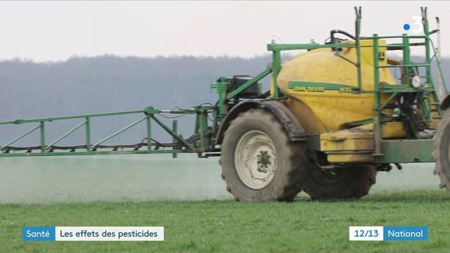 Santé : une étude dévoile les effets des pesticides sur nos organismes