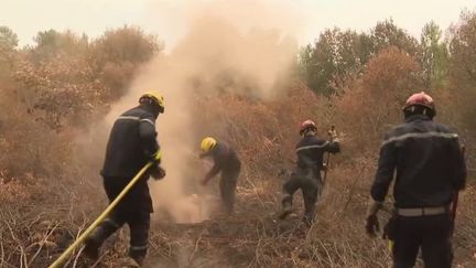 En Gironde, mardi 16 août, si le feu est désormais fixé, il est loin d'être éteint.&nbsp;Les pompiers sont donc toujours fortement mobilisés sur place, et ils peuvent compter depuis quelques heures sur le soutien de leurs collègues polynésiens. (FRANCE 2)