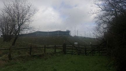 Thousands of birds fly above the Éroudeville landfill (ANTOINE LIFAUT / RADIOFRANCE)