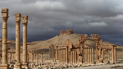 L'antique cit&eacute; de Palmyre, en Syrie, le 14 mars 2014. (JOSEPH EID / AFP)