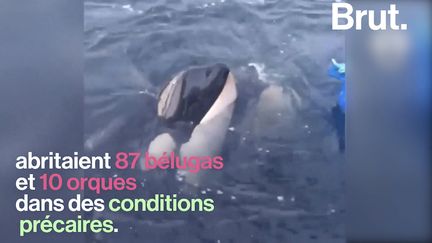 La tristement célèbre "prison des baleines" est désormais fermée.