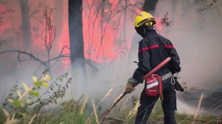 Incendies en Gironde : les pompiers estiment qu'il faudra plusieurs jours pour fixer les feux