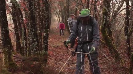 Forêts : faute d’entretien, les chemins ruraux disparaissent