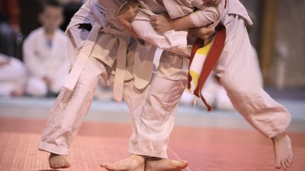 Des enfants font du judo. Illustration.&nbsp; (PHILIPPE TURPIN / MAXPPP)