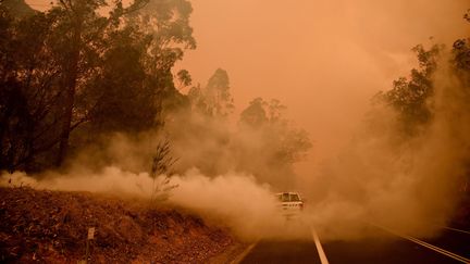 La fumée de feux de forêts envahit la ville de Moruya, en Nouvelle-Galles du Sud (Australie), le 4 janvier 2020. (PETER PARKS / AFP)