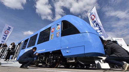 Le nouveau train "Zéro émissions"d'Alstom baptisé&nbsp;Coradia iLint,&nbsp;présenté lundi 20 septembre à Berlin (Allemagne).&nbsp; (JOHN MACDOUGALL / AFP)