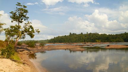 Le fleuve Oyapock en Guyane, le 30 mars 2015. (QUENTIN MARTINEZ / BIOSPHOTO / AFP)