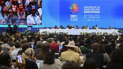 La COP16 concernant la biodiversité s'est ouverte le 21 octobre 2024 à Cali en Colombie, les discussions vont durer jusqu'au 1er novembre. (JOAQUIN SARMIENTO / AFP)