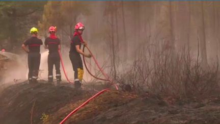 Incendies en Gironde et dans les Landes :&nbsp;une lueur d'espoir face aux flammes (France 3)