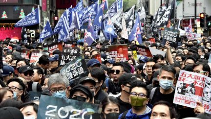 Des milliers de manifestants, le 1er janvier 2020, à Hong Kong.&nbsp; (SHIOMI KADOYA / YOMIURI / AFP)