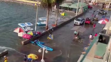 Tsunami dans le Pacifique : les multiples conséquences de l'éruption volcanique (France 2)