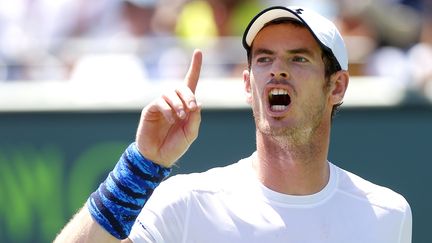 Andy Murray  (ELLA LING / BACKPAGE IMAGES LTD)