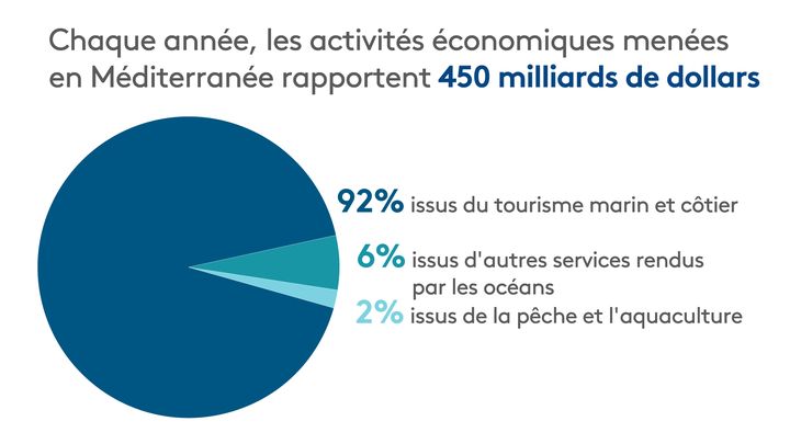 Dans son rapport publié, mercredi 27 septembre, l'ONG WWF&nbsp;tire la sonnette d'alarme sur les dangers&nbsp;qui pèsent sur la mer Méditerranée. (FRANCEINFO / RADIOFRANCE)