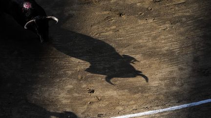 Une corrida dans le d&eacute;partement d'Antioquia (Colombie), le 5 f&eacute;vrier 2011.&nbsp; (RAUL ARBOLEDA / AFP)