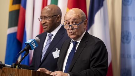 Le ministre des Affaires étrangères, Jean-Yves Le Drian, lors d'une réunion du Conseil de sécurité à l'ONU sur la situation au Mali, le 29 mars 2019. (JOHANNES EISELE / AFP)