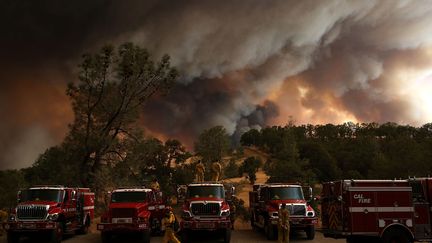 Des pompiers interviennent sur un incendie &agrave; Clearlake, en Californie, le 1er ao&ucirc;t 2015.&nbsp; (JUSTIN SULLIVAN / GETTY IMAGES NORTH AMERICA / AFP)