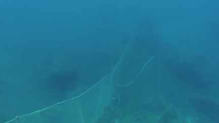 Au large du Havre a lieu une première mondiale : l'équipage du bateau "Gauthier-Lucille" teste des filets biodégradables pour réduire la pollution des fonds marins.