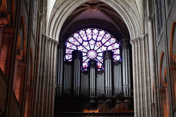 Le grand orgue de Notre-Dame de Paris, le 25 juin 2024. (IMAGEBROKER/EGON B?MSCH / IMAGEBROKER.COM)